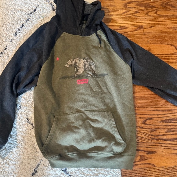 Levi's Olive and Charcoal Bear Graphic Hoodie - Picture 1 of 6
